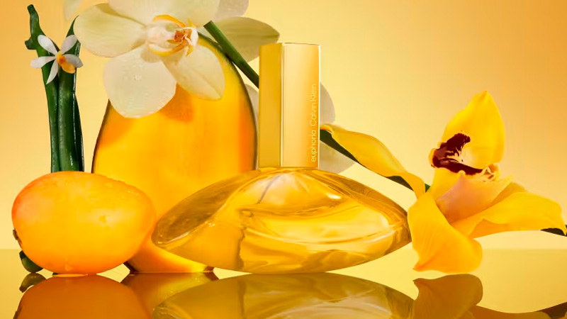 Euphoria Solar Elixir: Uma fragrância criada para mulheres que exalam uma energia magnética e cheia de vida